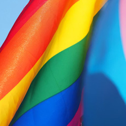 Gay Pride (LGBTQ) icon